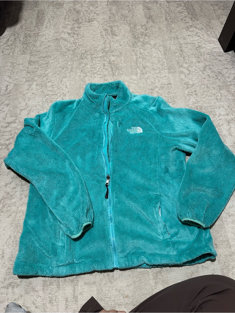 The North Face Bright Teal Plush Fleece Jacket